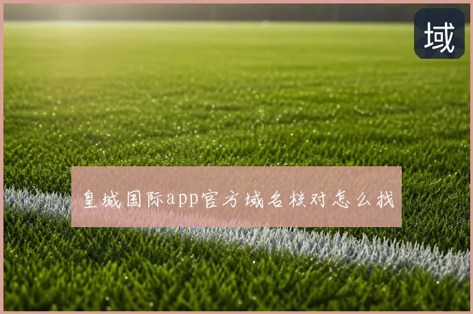 皇城国际app官方域名核对怎么找