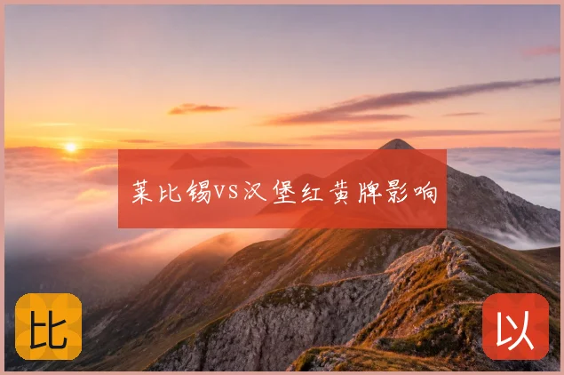 莱比锡vs汉堡红黄牌影响